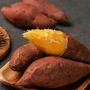 [원픽파머스] 정성가득 무안 황토 베니하루카 꿀고구마 특상 3kg