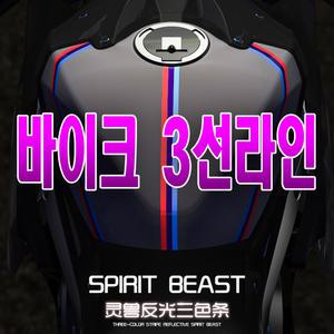 피트인 스피릿비스트 데칼 스티커 반사 엠블럼 라인 스티커 오토바이 BMW