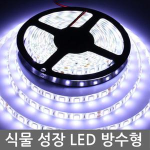 식물 성장 LED 백색 화이트 생장 DC 촉진 다육 재배등