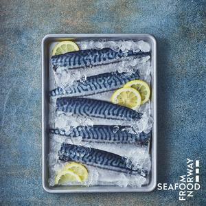 [프리미어] 노르웨이 고등어 900g 2팩(팩당 6-10개 개별 진공 포장) 고등어 필렛