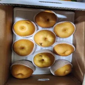 흠집 나주배(품종 신고)20과내 15kg / 자연대로팜웨이