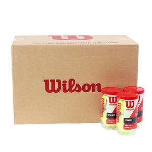 윌슨 챔피언십 테니스공 1BOX(36캔) 테니스 시합구 볼