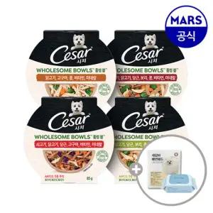 시저 홀썸볼 쇠고기맛 10개 골라담기+배변패드+베베숲물티슈1팩