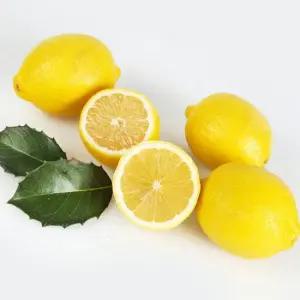 프리미엄 정품 팬시 레몬 10과(과당 120g)