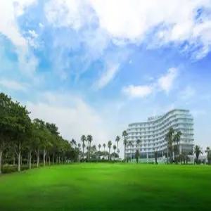 [제주] 서귀포 칼 호텔(제주, 서귀포)