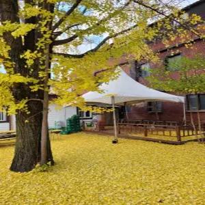 [충북 펜션] 보은 속리산펜션모텔 (보은,옥천,괴산,증평,영동)