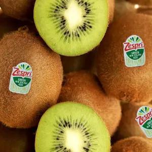키위 그린키위 제스프리 뉴질랜드 10과(개당80g-90g내외)