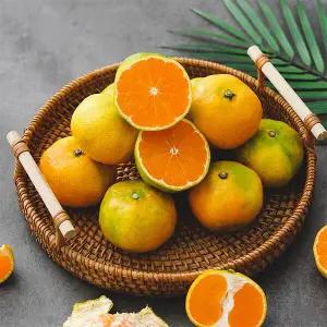 선별배송 제주 노지 감귤 3kg 소과 (2S)