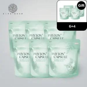 [6+4구성] 피톤플러스 미니 캡슐세제 세탁 아기 유아 올인원  8g 40ea)