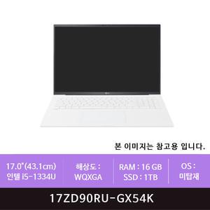 LG전자 그램 17ZD90RU-GX54K 1TB 교체(zoaa)