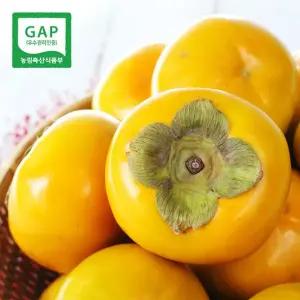 [생산자직송] 창원 부유 단감(소중혼합) 10kg