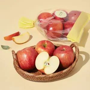 [프리미엄] 고당도 청송 사과 1.5kg (4~5입) 봉