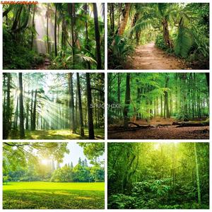 어린이집 생일 파티 배경 현수막 열대 정글 비 숲 수 나무 녹색 자연 풍경 스튜디오용