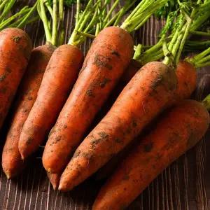 달큰한 국내산 햇 당근 5kg (왕특)