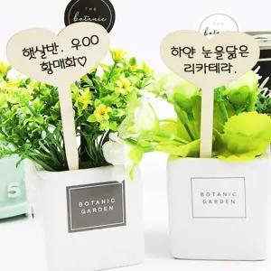 [콩심팥심]고급 식물이름표 우드 화단 꽃 네임 이름표 10p 하트
