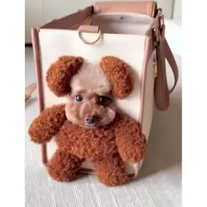 강아지이동장 애견이동장 이동가방 소형견 강아지 애견 인형 에스티