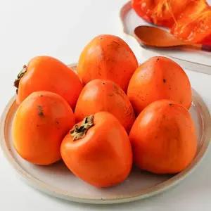 [기간한정] 꿀맛 홍시 가을 대봉감 5kg 중과 (11-26과)