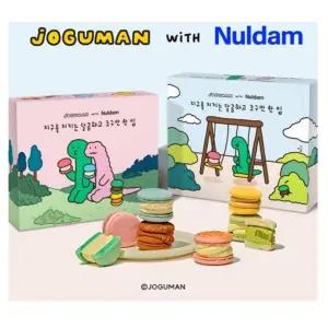 널담 마카롱 8구 2종 (감동 세트)