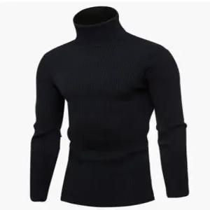 겨울 남성 소프트웜 하프넥 긴팔 목폴라 티셔츠 티 남성니트 반 목폴라 터틀넥니트