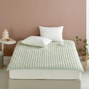 [모던하우스] 소프트워싱 극세사 양면패드 퀸 그린