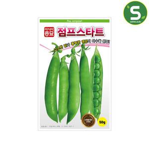 완두씨앗 50g 점프스타트 완두콩씨앗 콩 조생종
