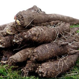 향긋! 갓수확한 국산 후금이네 참 더덕 (상) 26-33뿌리내외 1kg