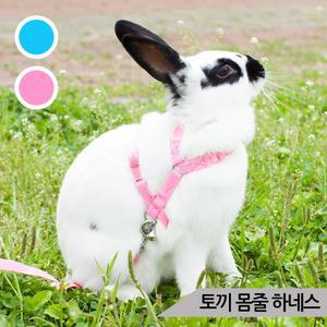 토끼몸줄 (블루/핑크) 가슴줄 하네스 리드줄포함