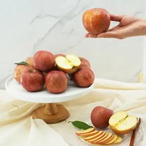 가정용 부사 사과 10kg 꼬마소과