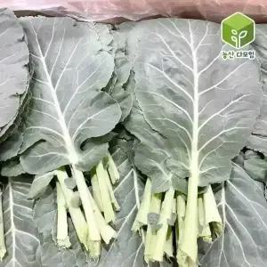 국내산 케일 쌈용 쌈케일 2kg