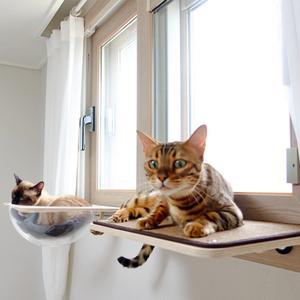 [펫502] 고양이 창문캣타워 창틀해먹 미니 원목 먼치킨 캣워크 투명해먹 사각 타원 2TYPE