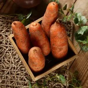 국내산 햇 흙당근 10kg(왕)