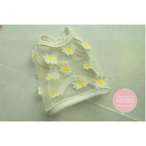 고양이,강아지 집사 커플템 (케이프,모자,머리끈)