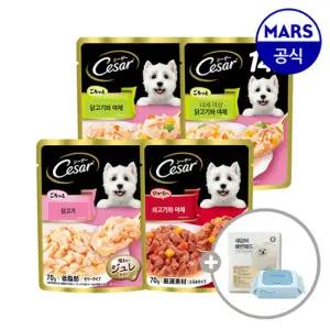 시저 파우치 70gx16개 골라담기+배변패드+베베숲물티슈1팩