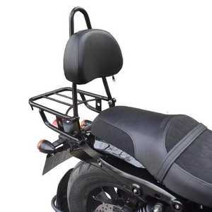 시시바 아퀼라300 등받이 아퀼라 125 오토바이 튜닝