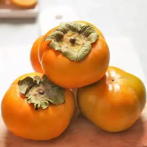 [농부마음]전라도 단감 10kg(41-50과) 대과