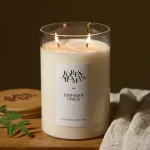 에인디 핸드메이드 대용량 방향제 냄새제거 대왕 소이캔들 1000g