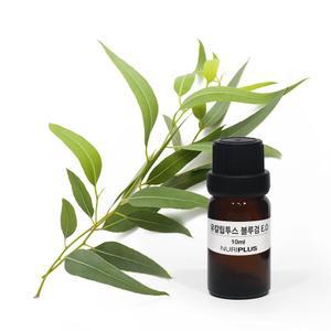 유칼립투스 블루검 E.O 50ml, 100ml (에센셜오일)