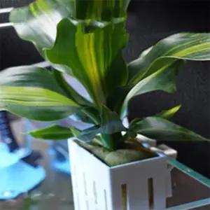 정맨마켓 수경재배통 어항수경식물거치대