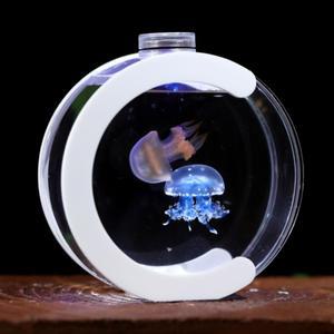 미니수족관 어항 자동청소 세트 해파리 관상용 해파리수조 열대어 키우기 물멍 LED조명