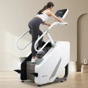 이고진 리얼클라임 스텝밀 머신 천국의계단 스텝퍼 가정용 계단 오르기