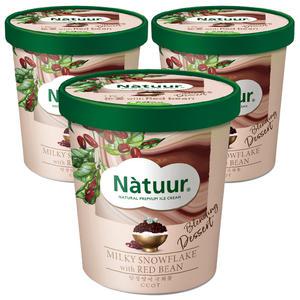 [슈팅냉동] 롯데웰푸드 나뚜루 눈꽃위드레드빈 파인트, 474ml, 3개