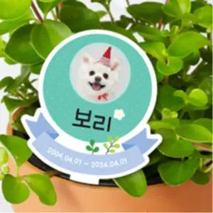 반려견 수목장 화분장 사진이름표 푯말 추모 장례표지판 강아지액자 아크릴 동물