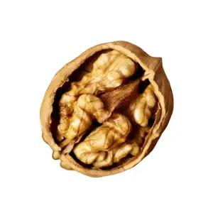 2차 선별된 국산 햇 피호두 (특) 1kg 25년 통 알호두