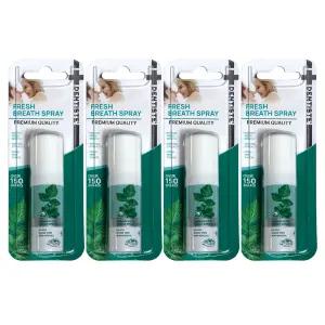 덴티스테 후레쉬 브레스 스프레이 가글 15ml x4개