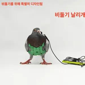 앵무새 비둘기 하네스 애완 스트랩
