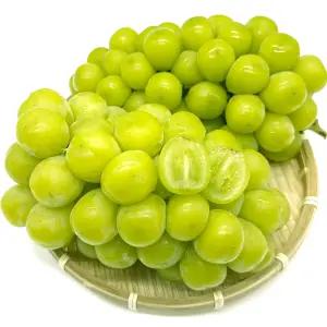 아삭달콤 고당도 샤인머스켓 4kg (4-5수) / 가정용 / 제철과일