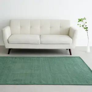 [인룸] 비비드 소프트 러그 100x150