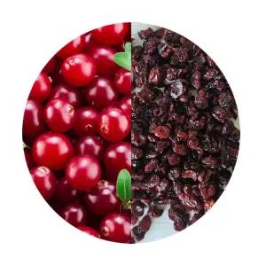 크랜베리 50g 소동물 햄스터 앵무새 간식