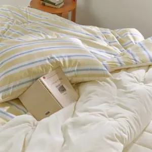 [파르페by알레르망] 모던센트 알러지케어 다운필 극세사 차렵이불패드 세트 Q