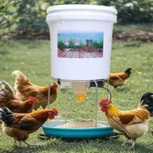 양계장 사료 자동공급기 타이머 닭모이 정량 피더기 배급기 급여기